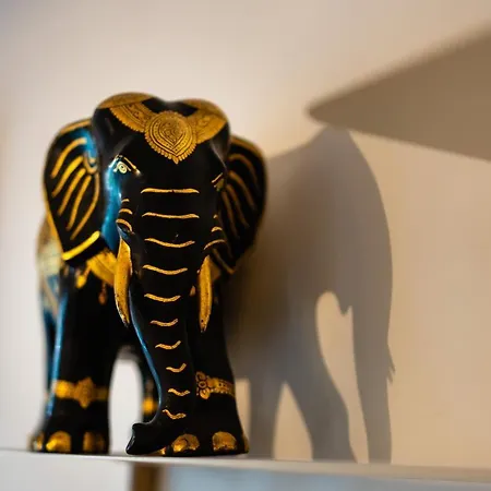 Atlantic Selection - Proche Du Golf - Au Calme Avec Parking アパート